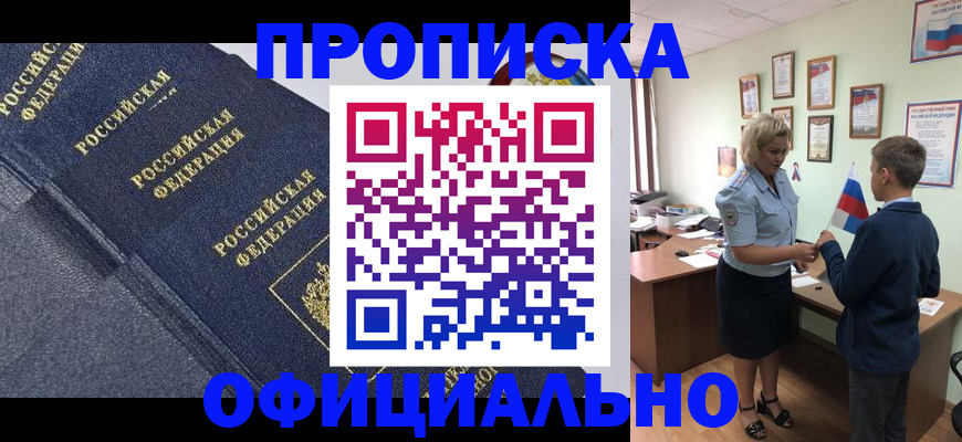 поиск подходящего жилья для регистрации в Петропавловске-Камчатском